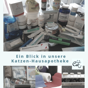 Katzenpsychologin in Berlin