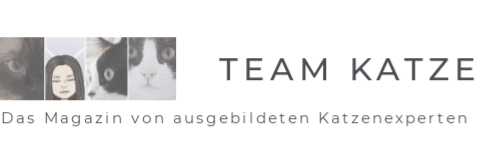 Katzenexperten - Katzenverhaltensberaterin - Katzenberatung 
