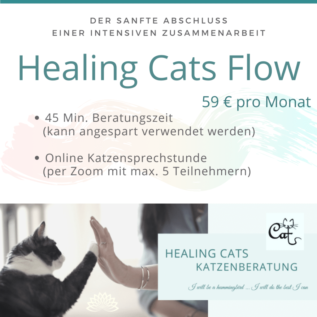 Beratung zu Ihrer Katze - Katzenverhaltensberung in Berlin