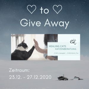 Healing Cats Katzeberatung Gewinnspiel