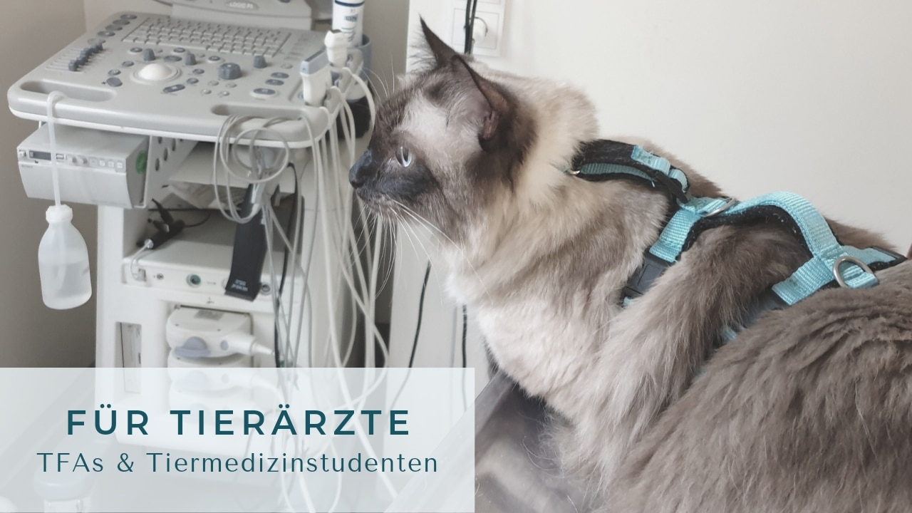 Angebote für Tierärzte