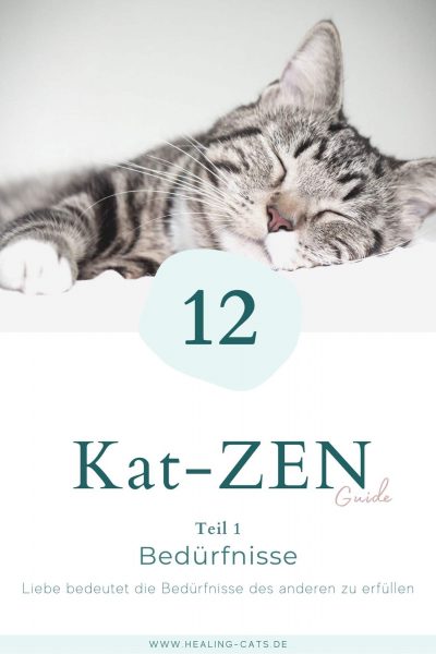 Kat-ZEN-Guide Cover No.1
